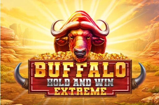 buffalo hold and win