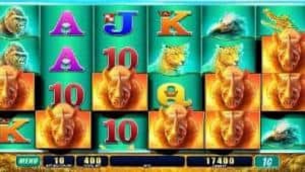 Raging Rhino gratis gokkast