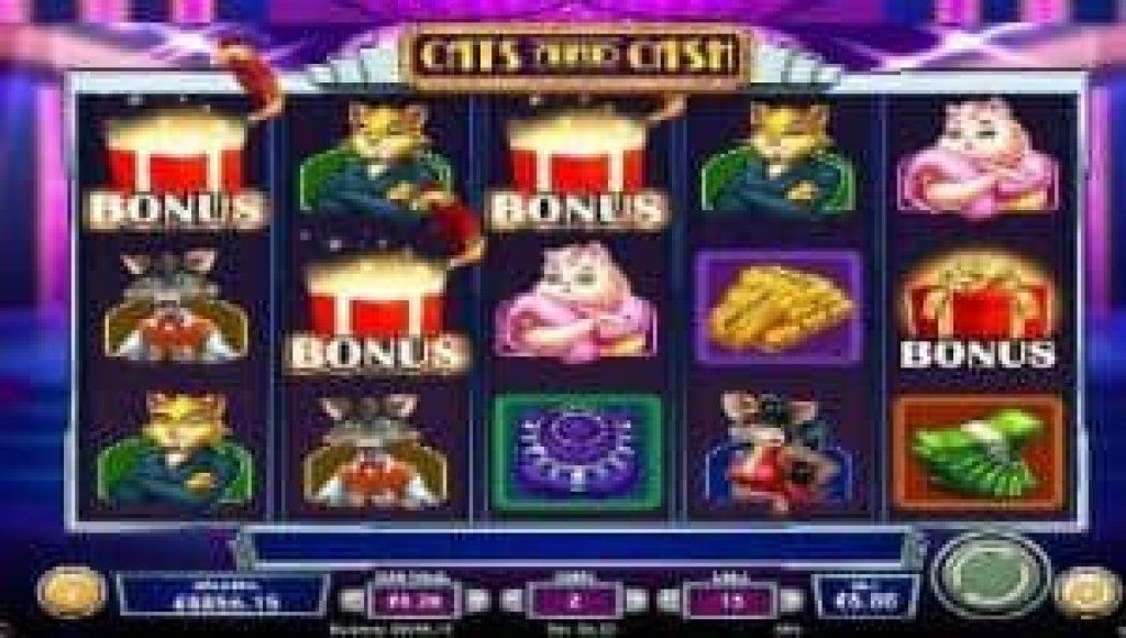 cats and cash slot bonus.