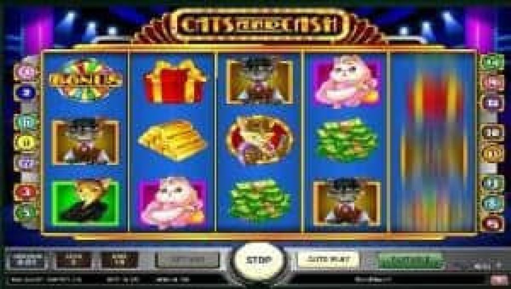 cats and cash slot spelen.