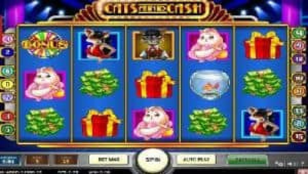 cats and cash bonus game.