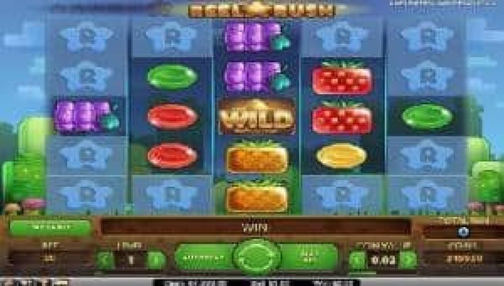 reel rush wild.
