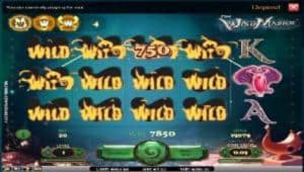 the wish master gokkast wilds.