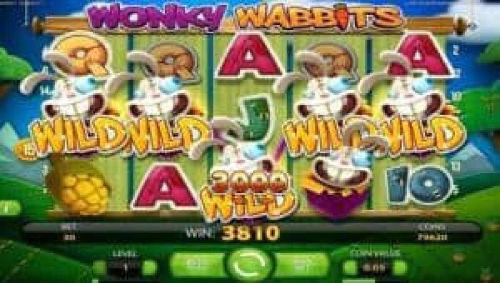 wonky wabbits win.